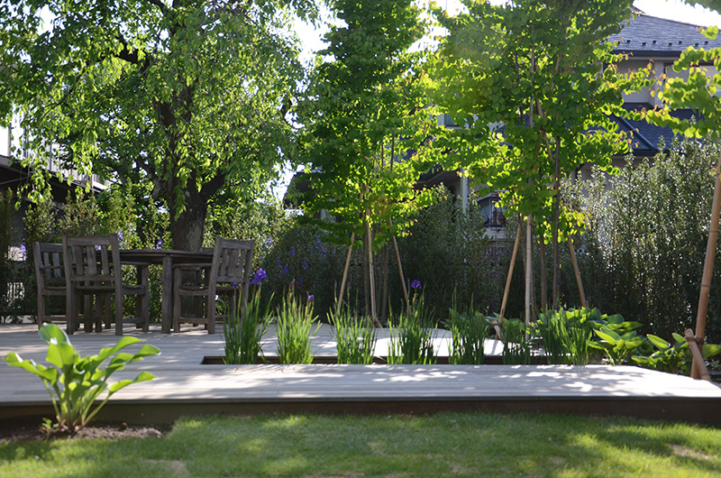 庭を作り変える　ガーデンデザイナー　麻生恵